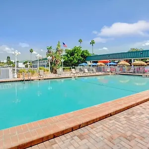 - Sarabay Sarasota